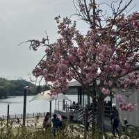 【愛知】自然と触れ合える！鞍ヶ池公園