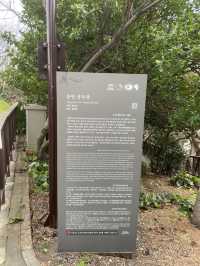 Yongyeon Pond เกาะเชจู