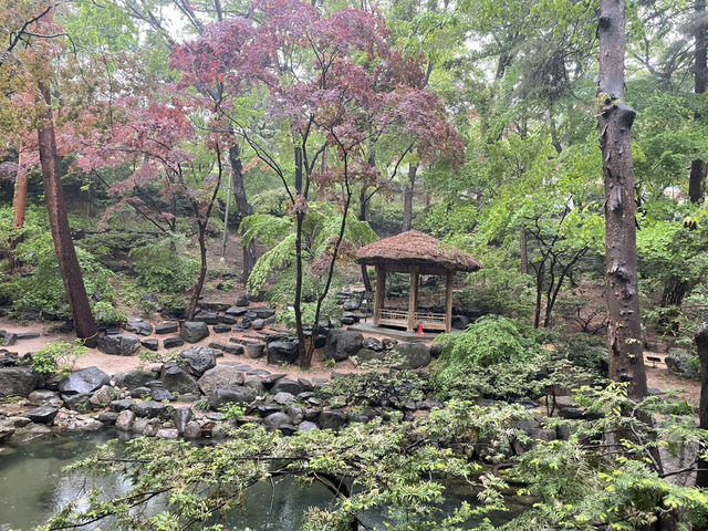다사다망한 요즘. 가족과 함께 영욕의 청와대 속으로