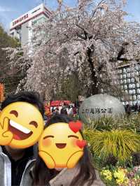 紅眼3天2夜快閃東京🌸櫻花大爆發🌸