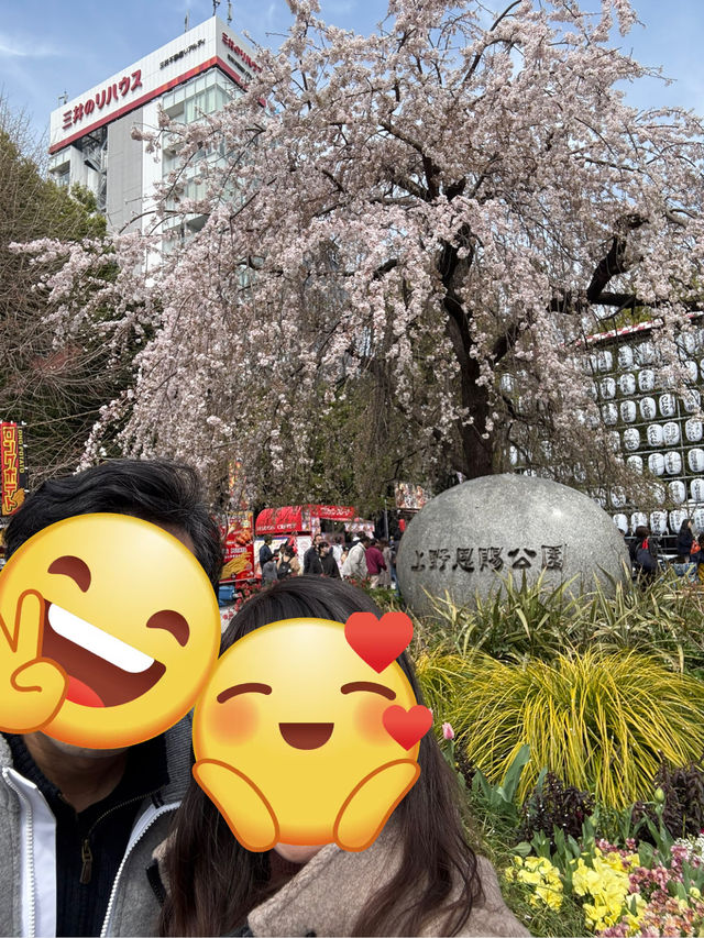 紅眼3天2夜快閃東京🌸櫻花大爆發🌸