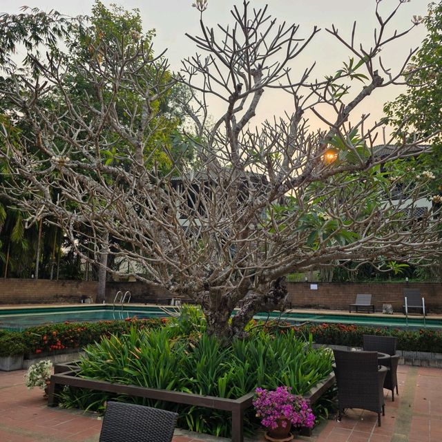 บ้านแซวการ์เด้น แอนด์ รีสอร์ท 🌳🏪