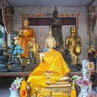 ขอพรพระป่าเลไลยก์และหลากหลายสิ่งศักดิ์สิทธิ์
