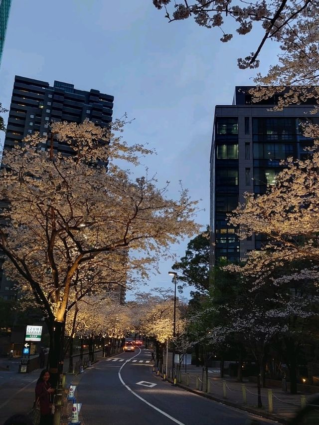 City Lights, Cool Vibes, and Petals on the Side