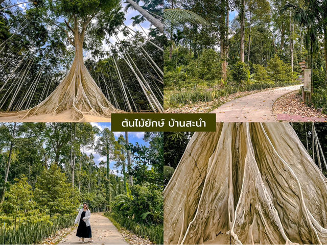 11 พิกัดที่ อุทัยธานี 🌳
