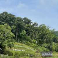 Songkhla Flower Farm สวนดอกไม้แห่งแรกในสงขลา