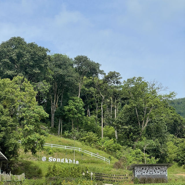 Songkhla Flower Farm สวนดอกไม้แห่งแรกในสงขลา