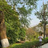 Bodh Gaya .พุทธคยา มรดกโลก