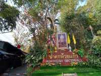 น้ำตกธรรมขาติ กลางเมืองเชียงใหม่