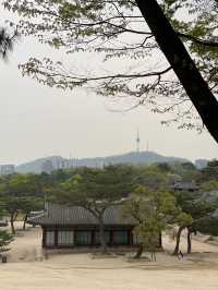 창경궁의 모습들