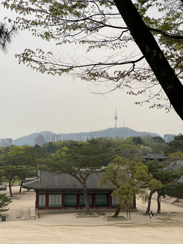 창경궁의 모습들