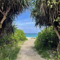 【与論島】絶景の百合が浜に会いに、与論島へ🏝️✨