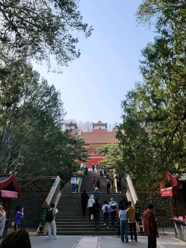 春遊：頤和園的春意