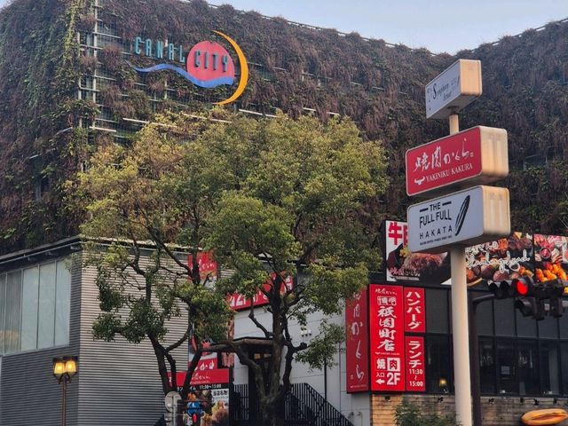 일본 후쿠오카 여행🩷