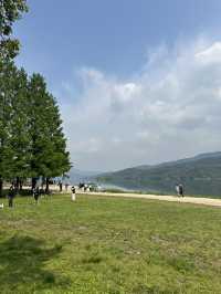 푸릇한 여름 가족나들이 방문하기 좋은 양평 핫플 두물머리 🍃✨💚