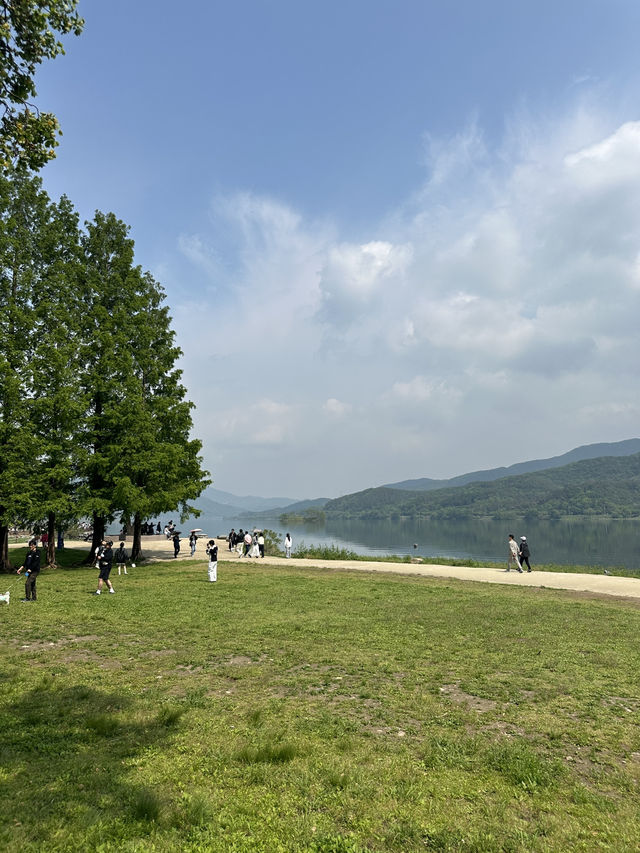 푸릇한 여름 가족나들이 방문하기 좋은 양평 핫플 두물머리 🍃✨💚
