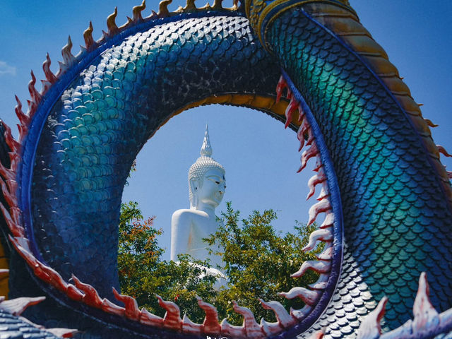 ปู่ศรีมุกดา พญานาคองค์ใหญ่ งดงามมาก วัดภูมโนรมย์  