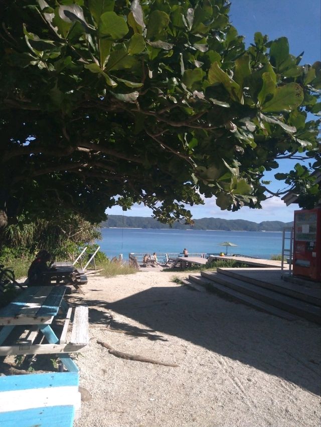 【沖縄】那覇から日帰りフェリーで行ける離島🏝️