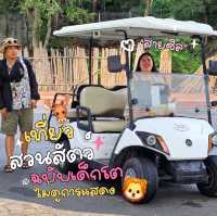 แจกวันเที่ยวสวนสัตว์ ฉบับเด็กโต