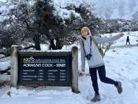 紐西蘭南島｜Lake Pukaki｜Mount Cook 必經夢幻公路：80號公路