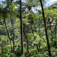 COMO Shambhala Estate – Ubud