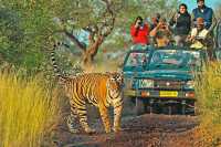 Ranthambore Tiger Reserve