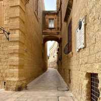 St. Paul’s Cathedral, Mdina: A Baroque Masterpiece in Malta’s Silent City ⛪✨  