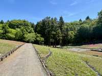 Don’t Be Fooled by the Flowers—This Park Hides a Real Adventure!