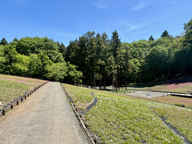 Don’t Be Fooled by the Flowers—This Park Hides a Real Adventure!