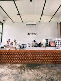 DayGrow Café : ความเรียบง่ายและความร่มรื่น