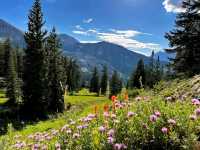 Salt Lake City, Utah – Where Urban Energy Meets Wild Adventure