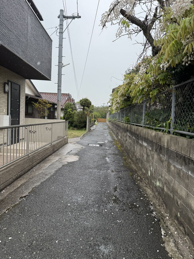 【北九州グルメ】おふくろの味が楽しめる路地から入った隠れ家カフェ🍽