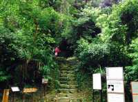 黃龍坑的挑戰之旅⛰️🌿