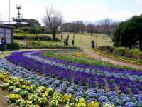 四季都有花的能古島海島公園🌺