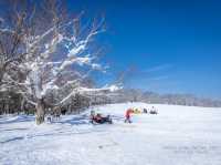 Snow Valley