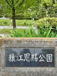 A Local Morning Walk Around Sumiyoshi – Pancakes & Park Views