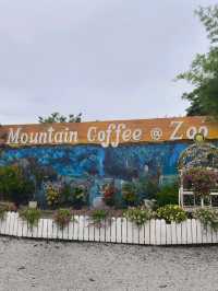 Mountain Coffee @ Zoo