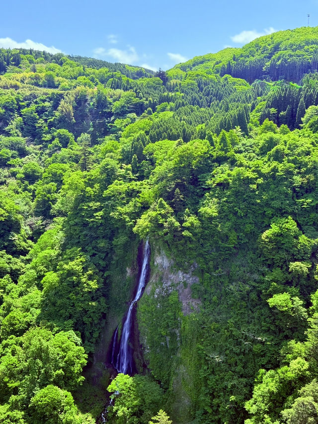 穿越僻靜山谷的高空吊橋
