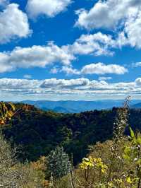 Mist and Magic: Hiking the Alum Cave Trail in the Smokies