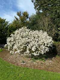 Altamont Gardens – Ireland’s Romantic Garden Jewel in County Carlow