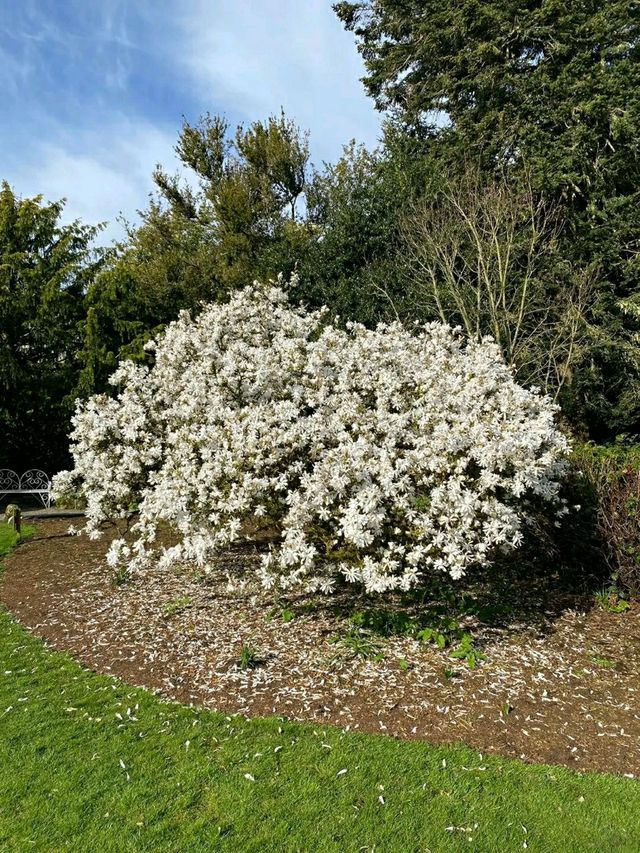 Altamont Gardens – Ireland’s Romantic Garden Jewel in County Carlow