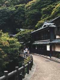 A Peaceful Escape to Minoh park.