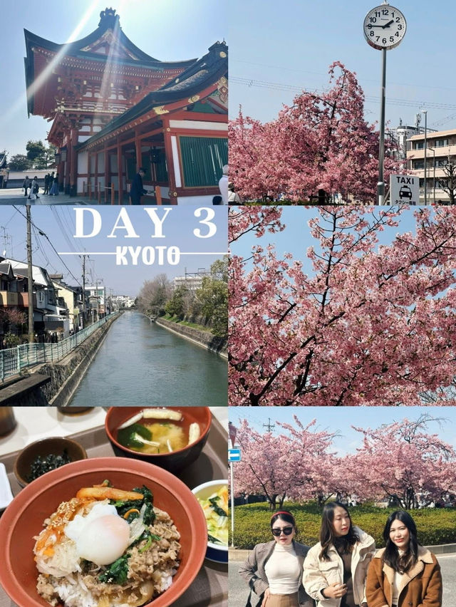 OSAKA 8DAY 7NIGHT งบไม่เกิน 27,000 มีอยู่จริง