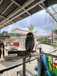Batam zoo paradise