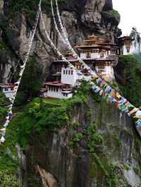 Tigers Nest View 