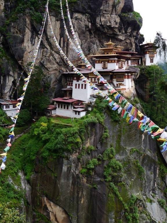 Tigers Nest View 