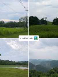 KhaoYai 🌳🍃
