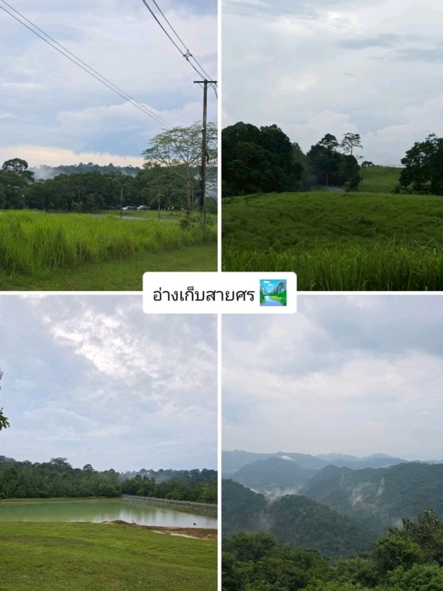 KhaoYai 🌳🍃