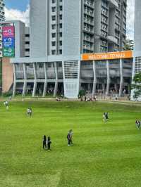 Brains and Beauty: A Scenic Stroll Through NUS