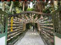 Spring Bliss at Aoshima Shrine